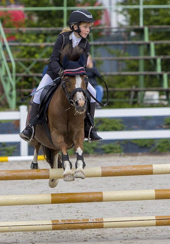 Jezdecký klub Kateřinky poprvé připravil prestižní Národní skokový pohár ČJF a Styl šampionát PONY 2017. Na jeho kolbišti se ho během víkendu zúčastnili mladí čeští, slovenští a polští jezdci se svými poníky.