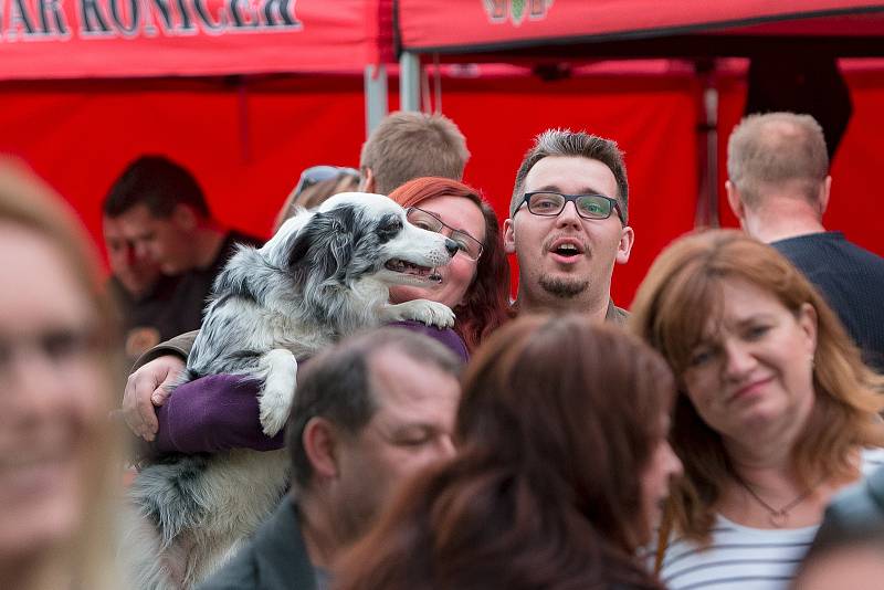 Takový byl Opavský majáles v roce 2019. Open Air festival pod širým nebem v Městských sadech.