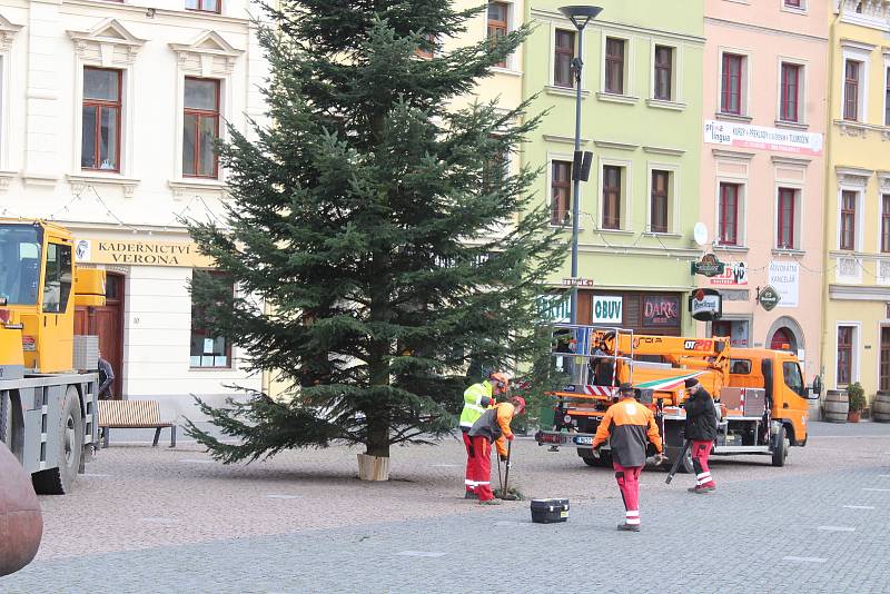 Instalace jedle obrovské na Dolním náměstí, středa 18. listopadu 2020.