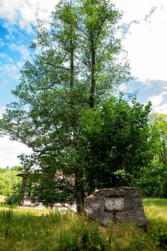 Jánské Koupele (německy Bad Johannisbrunn), dříve také Melčské lázně, jsou bývalé lázně ležící severozápadně od Vítkova v okrese Opava, v rozsáhlých lesích při řece Moravici. Celý areál byl roku 2005 zapsán do seznamu kulturních památek České republiky. P