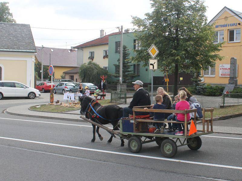 Letošní sezona byla na sklizeň zelí takřka katastrofická. Přesto se obec i zemědělský podnik snažily, aby návštěvníkům tradiční otické akce zelí nescházelo.