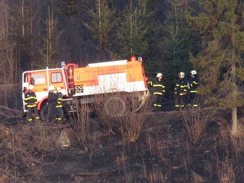 Sedm hektarů lesa v pátek zasáhl požár v Budišově nad Budišovkou na Opavsku.