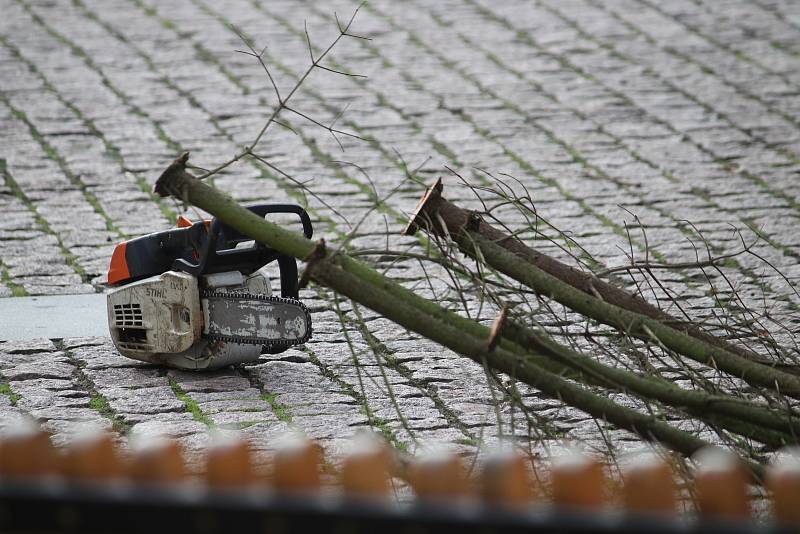 Instalace jedle obrovské na Dolním náměstí, středa 18. listopadu 2020.