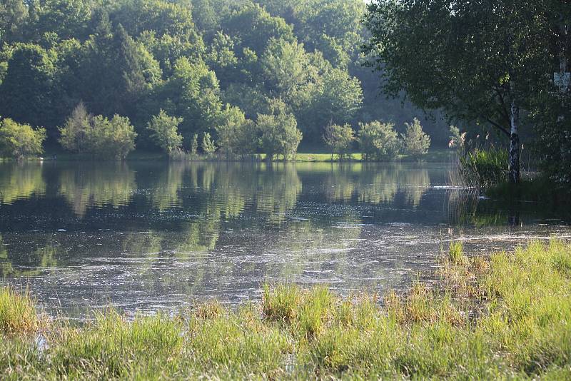 Revitalizace Stříbrného jezera v Opavě. 3. června 2021.