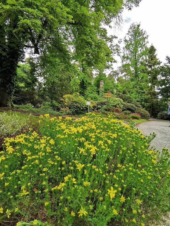 Arboretum Nový Dvůr u Opavy.