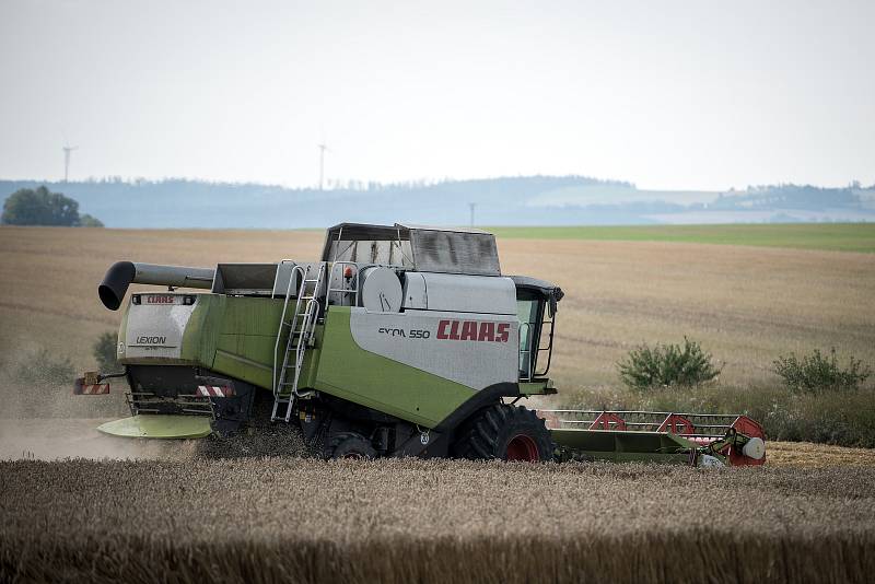 Žně u Opavy, 7. sprna 2019. V Hlavnici pomáhají Slováci.