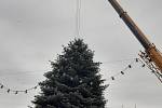 Instalace vánočního stromu na Dolním náměstí v Opavě. 22. listopadu 2022, Opava.