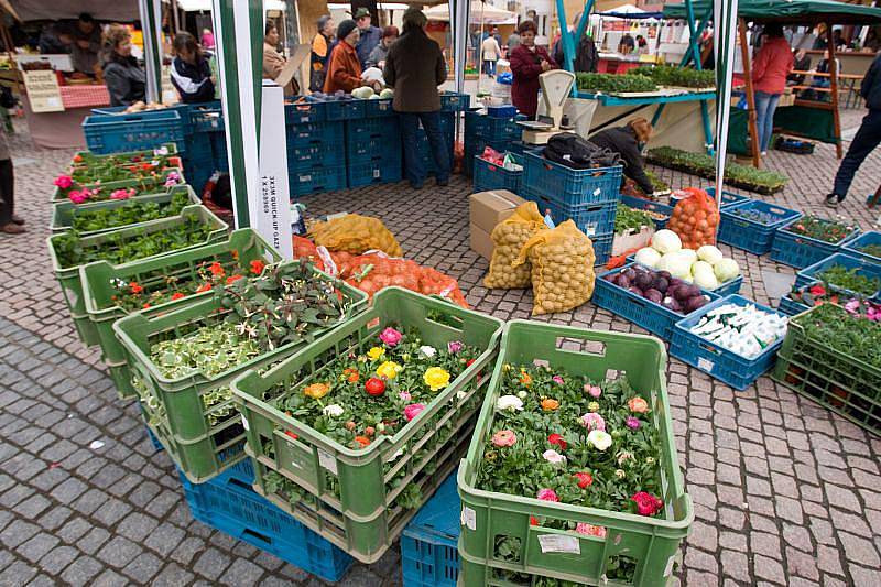 V pátek ráno mohli Opavané poprvé za posledních několik let navštívit farmářské nebo také zelné trhy na Dolním náměstí v Opavě. Návštěvníci si mohli zakoupit například sazenice, uzeniny, med, cukrovinky či výrobky z keramiky.