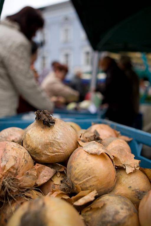 V pátek ráno mohli Opavané poprvé za posledních několik let navštívit farmářské nebo také zelné trhy na Dolním náměstí v Opavě. Návštěvníci si mohli zakoupit například sazenice, uzeniny, med, cukrovinky či výrobky z keramiky.