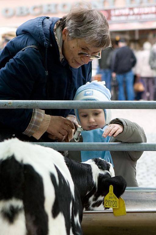 V pátek ráno mohli Opavané poprvé za posledních několik let navštívit farmářské nebo také zelné trhy na Dolním náměstí v Opavě. Návštěvníci si mohli zakoupit například sazenice, uzeniny, med, cukrovinky či výrobky z keramiky.