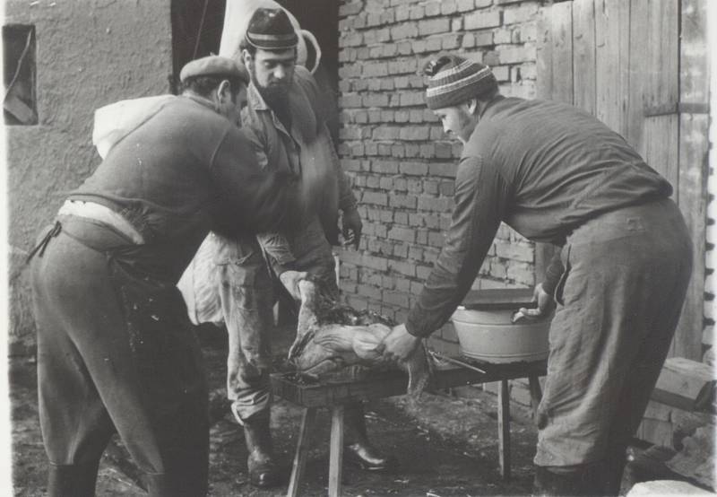 TRADIČNÍ zabíjačka, u které se vždy sešla celá rodina, se dělala čtyřikrát do roka.