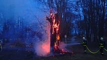 V Šilheřovickém parku hořely dva stromy.