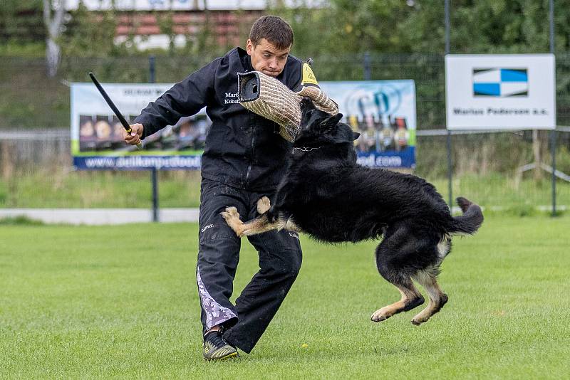 Mezinárodní kynologická soutěž seniorů.