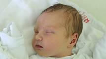 Adéla Barčová se narodila 30. dubna 2019, vážila 3,60 kilogramu a měřila 51 centimetrů. Rodiče Lenka a Lukáš z Hertic přejí své prvorozené dceři do života hlavně zdravíčko.