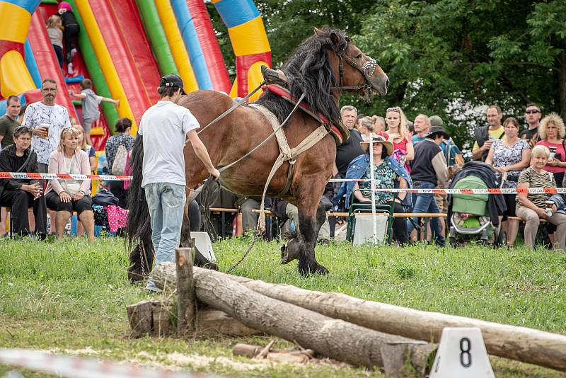 Kvalifikační závod na mistrovství ČR v kombinovaných soutěžích chladnokrevníků, 9. července 2022, Bobrovníky.