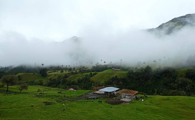 MARTIN HÁJEK si v Kolumbii prošel také vyhlášené malebné údolí Valle del Cocora.