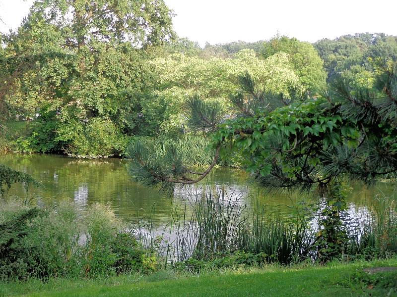 Arboretum ve Stěbořicích-Novém Dvoře.