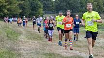 Běh městem i přírodou City trail Opava.