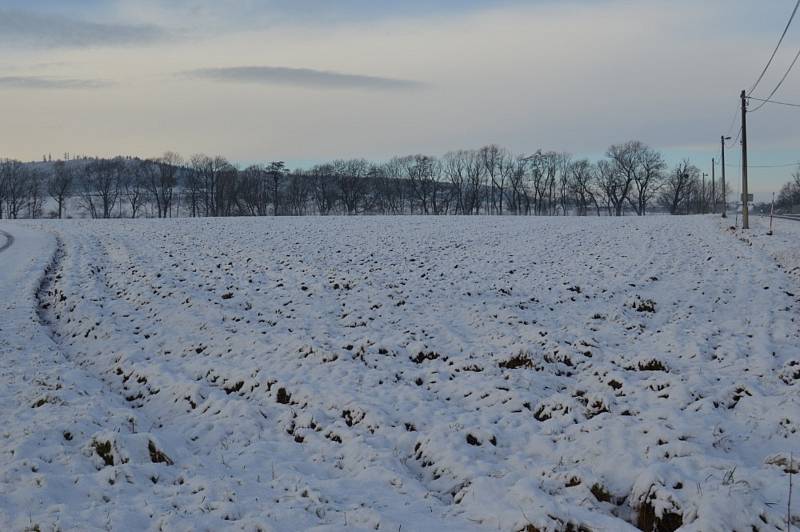 Sníh pokryl Opavsko. Neděle 24. ledna 2021.