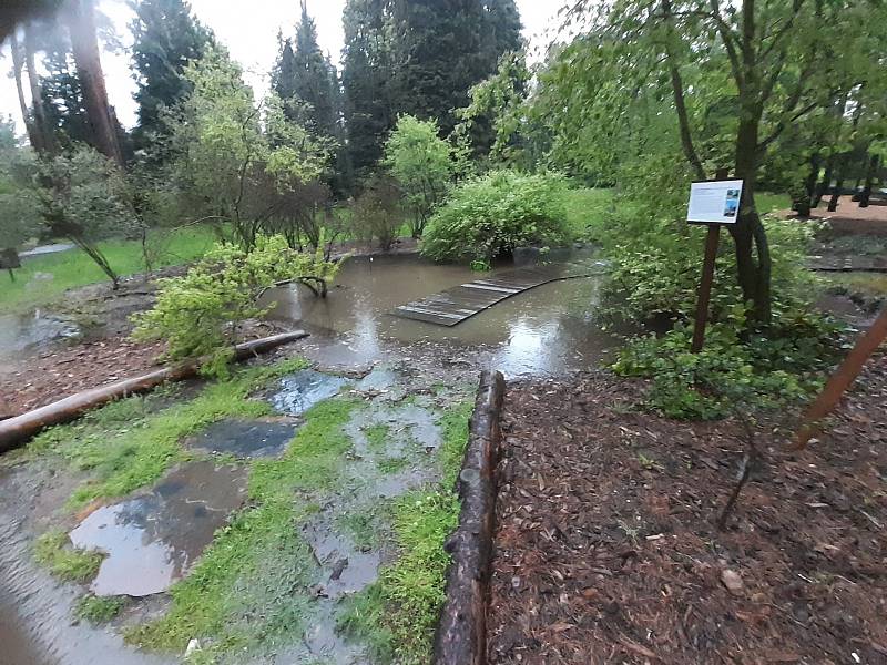 Nepříjemnost v arboretu Nový Dvůr.