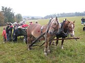 Desítky koní a jezdců se sjely v sobotu do Mikolajic, aby se zúčastnily dvanáctého ročníku Hubertovy jízdy. 