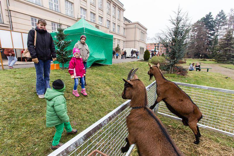 Dveře Střední zemědělské školy v Opavě se o víkendu netrhly, prošlo jimi několik tisícovek lidí, kteří se přišli podívat na práci studentů i pedagogů.