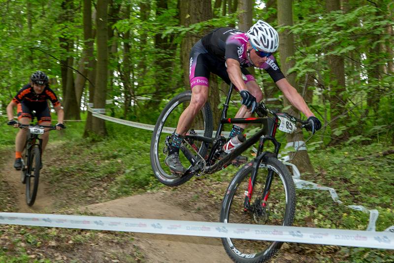 Závod na horských kolech pro širokou veřejnost od 2 let.Adrenalinová trať ve Slavkovském lesíku s překážkami.