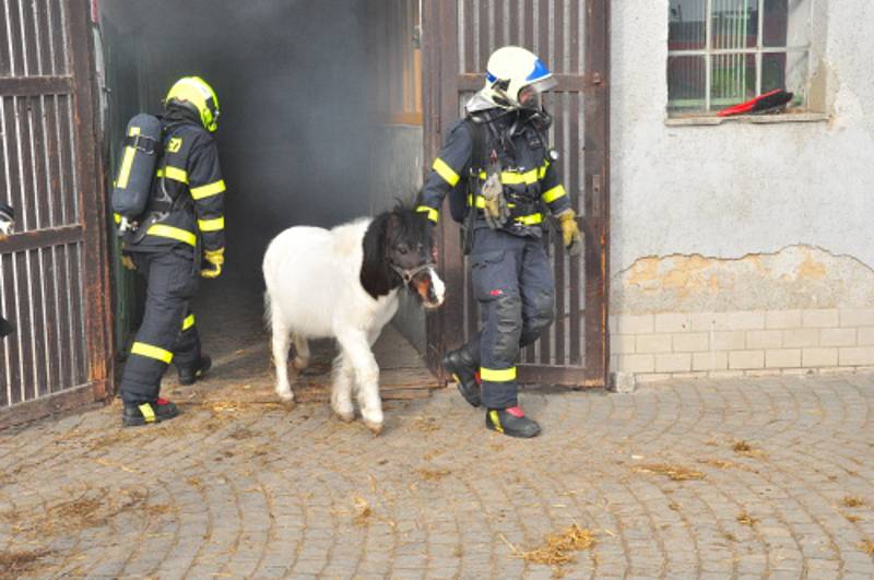 Hasičské cvičení proběhlo v jezdeckém klubu, který se nachází v opavské městské části Kateřinky.