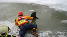 Jeden z kurióznějších zákroků si hasiči připsali ve čtvrtek 28. března ráno v Markvartovicích. Bylo něco po osmé hodině, když se dozvěděli, že v rybníku u místního fotbalového hřiště bojuje o přežití neznámý velký černý pes.