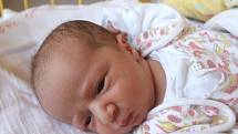 Dvojčátka Adéla Schönová a Vojtěch Schön se narodila 6.srpna. Adélka po narození vážila 2,63 kg a měřila 47 cm.