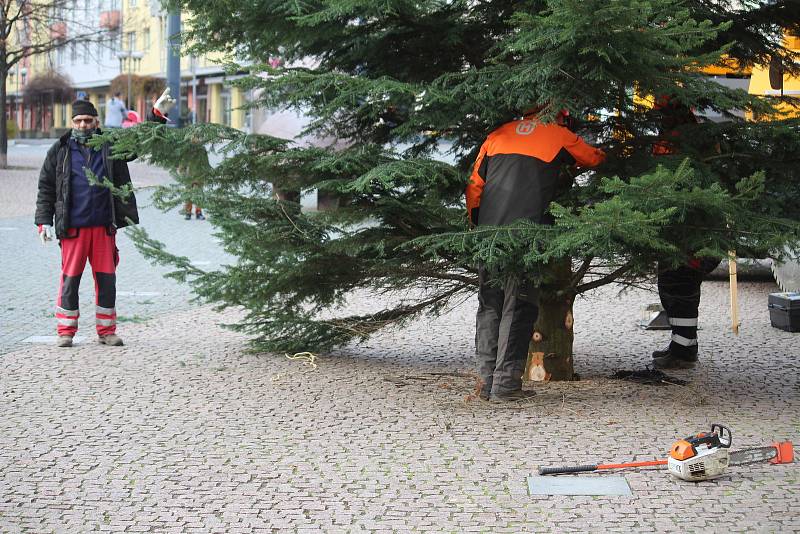 Instalace jedle obrovské na Dolním náměstí, středa 18. listopadu 2020.