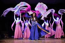 Dance show Opava tradičně hýří pohybem i barvami.