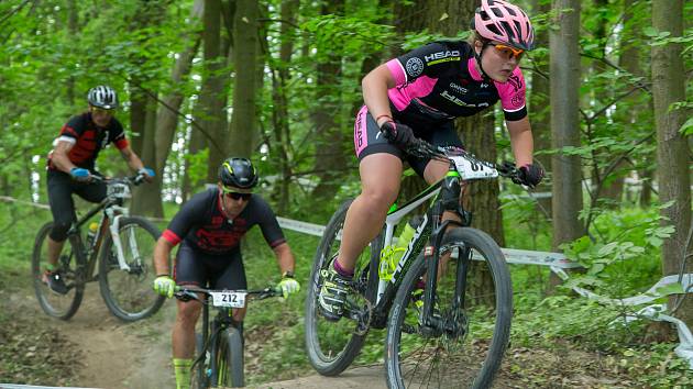 Závod na horských kolech pro širokou veřejnost od 2 let.Adrenalinová trať ve Slavkovském lesíku s překážkami.