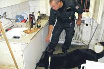 Psovod Jiří Valošek už vycvičil pro policii několik psů. Před Ajaxem to byl Kapitán, se kterým je zachycen při speciálním výcviku na hledání vybušniny.