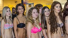 V pořadí třetí zastávka castingu na Českou Miss 2017 se v úterý konala v opavském obchodním centru Breda&Weinstein. Ze 42 přihlášených účastnic nejen z celého kraje, ale třeba také ze Slovenska, se v Opavě nakonec představilo 25 soutěžících.