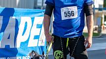 Breda City Trail Opava 2021