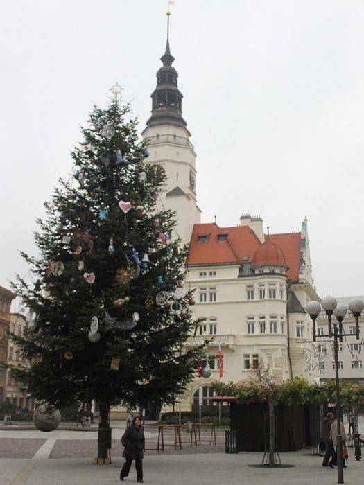 Vánoční strom v Opavě zdobí Horní náměstí.