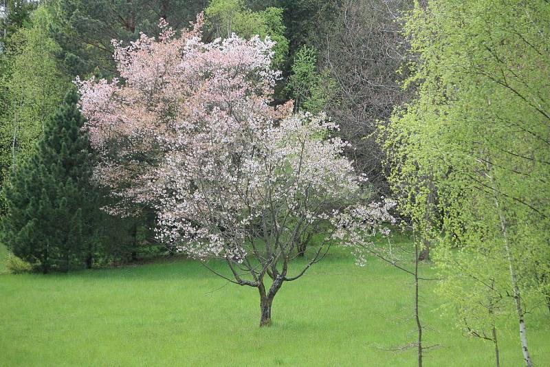 Arboretum Nový Dvůr.