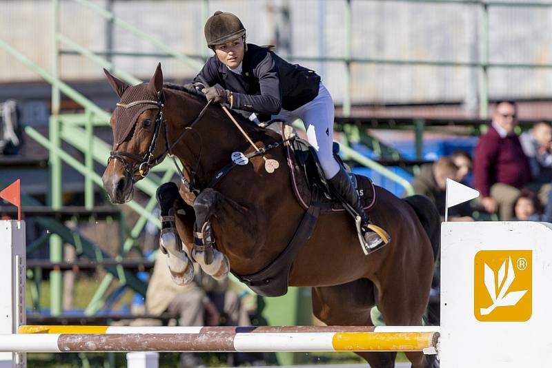 Parkúrový závod Procamping Cup v areálu Jezdeckého klubu Opava-Kateřinky, 30. září 2018.