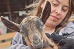 I tuto kozu obdivovali loni návštěvníci Dne mláďat, který se koná na školním statku.