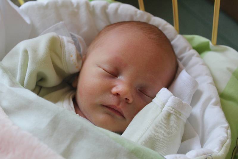 Sebastian Turcaj se narodil 18. listopadu 2018, vážil 3,31 kilogramu a měřil 49 centimetrů. Rodiče Adéla a Matěj z Hradce nad Moravicí mu do života přejí hlavně zdraví. Na bratříčka se už doma těší sestřička Kristínka.