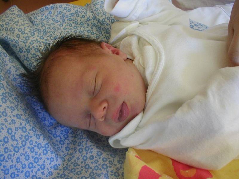 DANIEL DOBROVOLNÝ, 17. března 2008, Malé Hoštice, váha 3,19 kg, míra 47 cm, maminka Lada Dobrovolná.