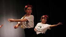 Oslava Mezinárodního dne tance proběhla již podeváté pod taktovkou tanečního studia Tany Tany a její vedoucí Evy Afry Grambalové v opavském Kulturním domě Na Rybníčku.