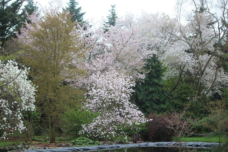 Arboretum Nový Dvůr.