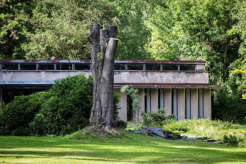 V těchto dnech láká Arboretum Nový Dvůr své návštěvníky na výstavu balkonových rostlin. Pokud hledáte inspiraci pro váš balkon, okno nebo terasu, můžete ji najít právě zde.