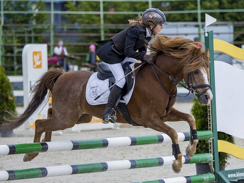 Jezdecký klub Kateřinky poprvé připravil prestižní Národní skokový pohár ČJF a Styl šampionát PONY 2017. Na jeho kolbišti se ho během víkendu zúčastnili mladí čeští, slovenští a polští jezdci se svými poníky.