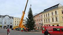 Instalace jedle obrovské na Dolním náměstí, středa 18. listopadu 2020.