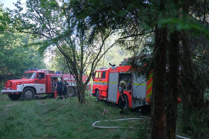 Zásah hasičů u požáru lesa na Opavsku, neděle 30. června 2019.