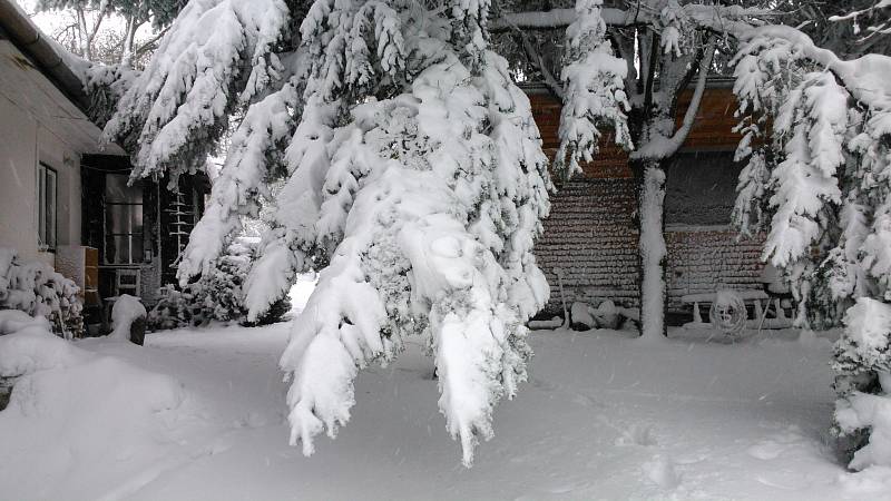 Situace ve středu 19. dubna ve Slavkově.