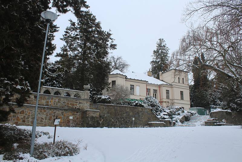 Novodvorské arboretum v zimním období. 23. ledna 2022, Stěbořice.